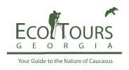 EcoTours Georgia